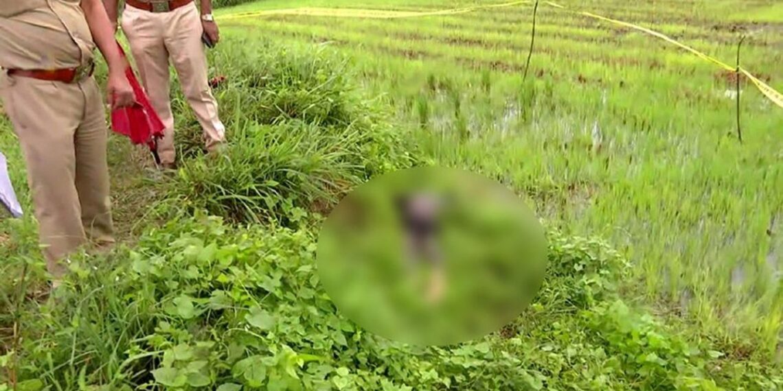 কাছাড়ের বাগবাহারে ক্ষেতের জমি থেকে উদ্ধার যুবকের মৃতদেহ