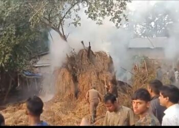 বড়যাত্রাপুর বাজার এলাকায় অগ্নিকাণ্ড