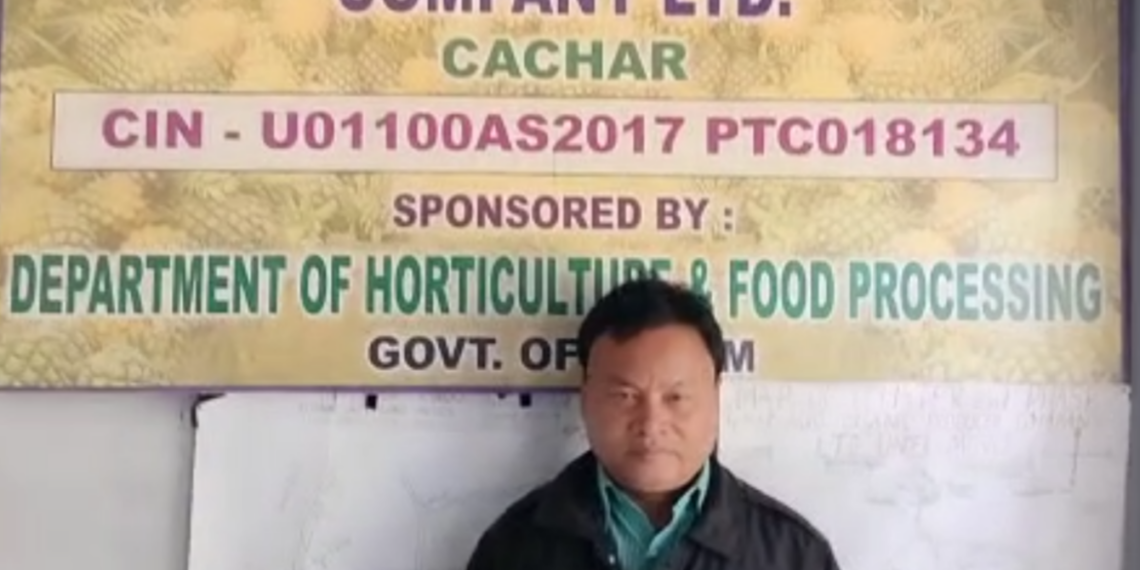 আনারস উৎপাদন করেই অসম গৌরব  বরাকের মানথাং