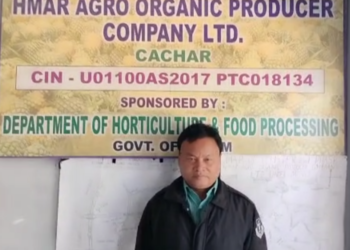 আনারস উৎপাদন করেই অসম গৌরব  বরাকের মানথাং