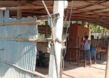 উদাসীন বন বিভাগ, ব্যাপক বনধ্বংস উত্তর করিমগঞ্জে