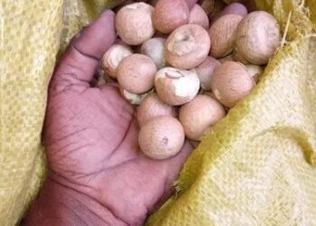 বরাক নদী হয়ে বার্মিজ সুপারি পাচার,ধৃত মনিপুরের তিন