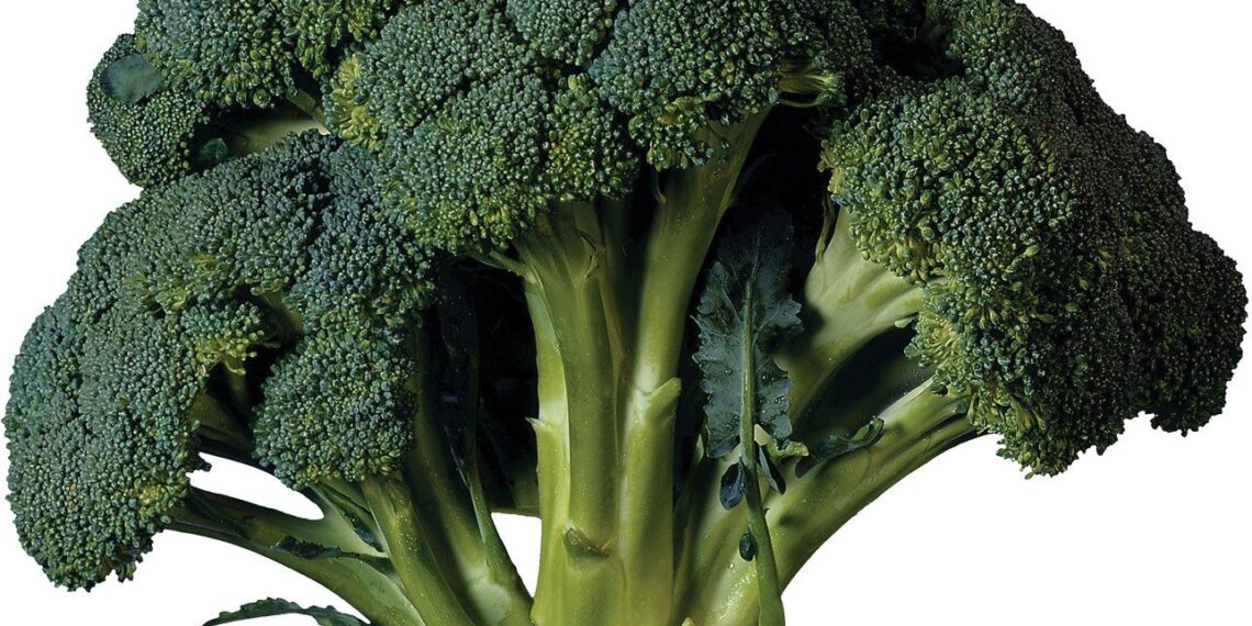 ব্রকলি  : কেন খাবেন, কেন খাবেন না