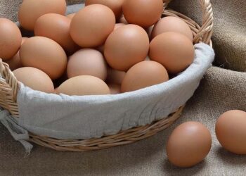 ডিমের হালি ১০ হাজার !