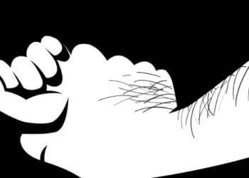 বৈবাহিক ধর্ষণ, সুপ্রিমে মামলা