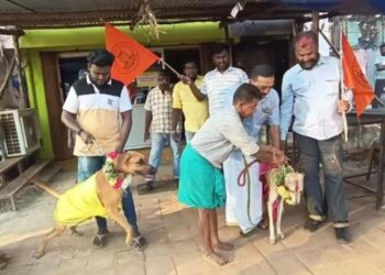 প্রেম দিবসে কুকুরের বিয়ে