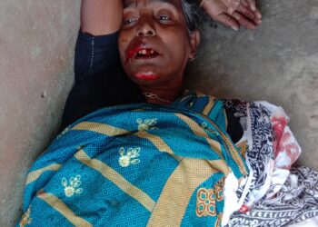 দর্মি পঞ্চবটীতে সড়ক দুর্ঘটনায় আহত মা-পুত্র