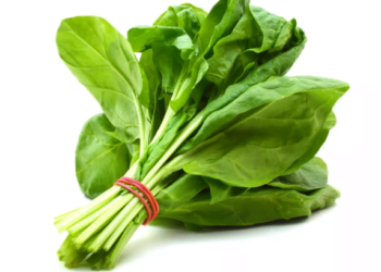 অশেষ গুণের পালং শাক