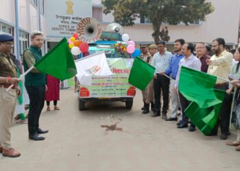 বাল্যবিবাহ, সচেতনতা সৃষ্টিতে বের করা হলো রথ