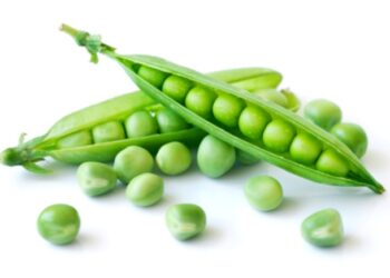 মটরশুঁটি সংরক্ষণের পদ্ধতি