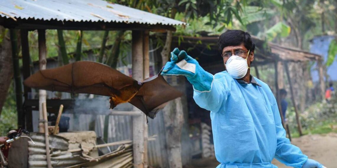 বাংলাদেশে বাড়ছে নিপা ভাইরাস