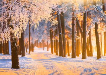 রবিবারের বিশেষ