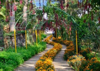 বেড়িয়ে আসুন মাওলিনং