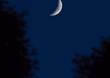 রবিবারের বিশেষ