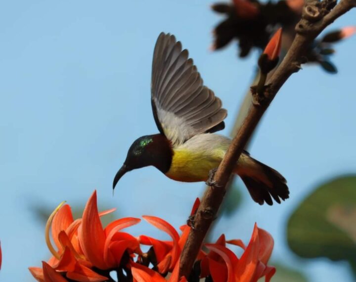রবিবারের বিশেষ
