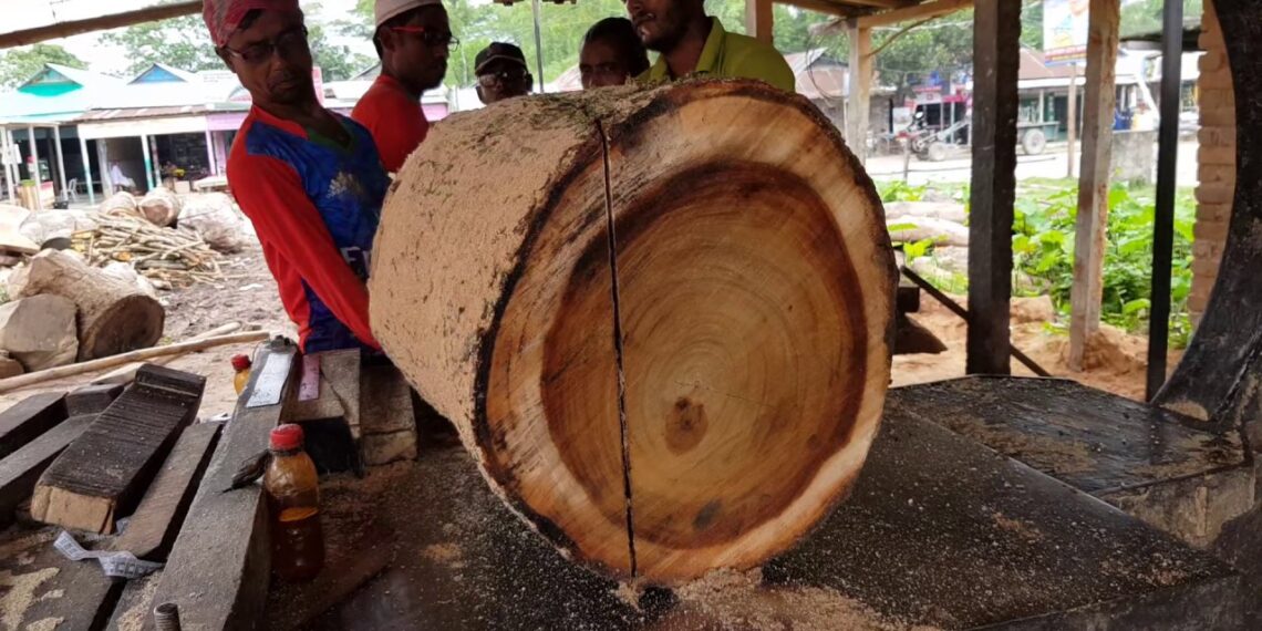 পাথারকান্দিতে বাজেয়াপ্ত দু-লক্ষের  চেরাই সেগুন কাঠ বোঝাই ট্রাক, গ্রেফতার এক