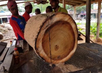 পাথারকান্দিতে বাজেয়াপ্ত দু-লক্ষের  চেরাই সেগুন কাঠ বোঝাই ট্রাক, গ্রেফতার এক