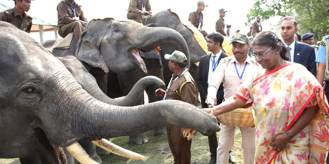 হাতি-মানব সংঘর্ষের দায়িত্ব মানুষকেই নিতে হবে : দ্রৌপদী মুর্মু