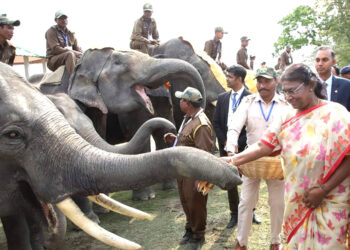 হাতি-মানব সংঘর্ষের দায়িত্ব মানুষকেই নিতে হবে : দ্রৌপদী মুর্মু