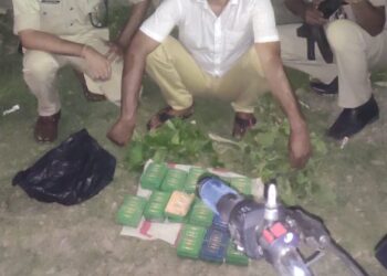 সোনাইয়ে মাদকসহ আটক ১