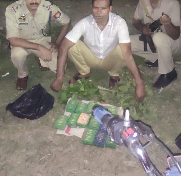 সোনাইয়ে মাদকসহ আটক ১