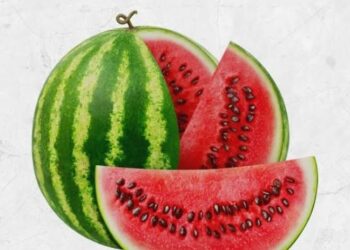 শনিবারের টিপস