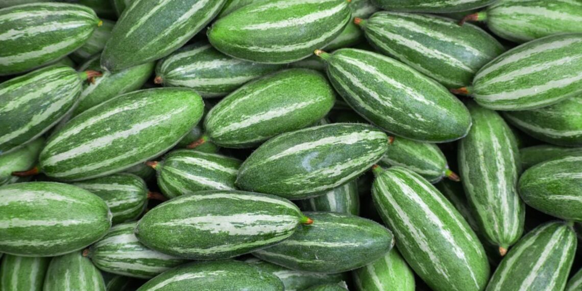 পটলের উপকারিতা