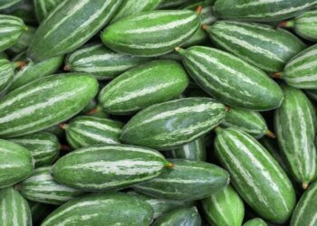 পটলের উপকারিতা