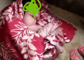 বুড়িবাইলে রাস্তার পাশে উদ্ধার নবজাতক