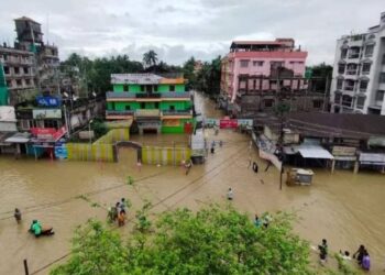 প্লাবনের এক বছর