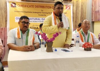 বৃত্তিমূলক প্রশিক্ষণে লাভবান হচ্ছে অসম : দীপায়ন
