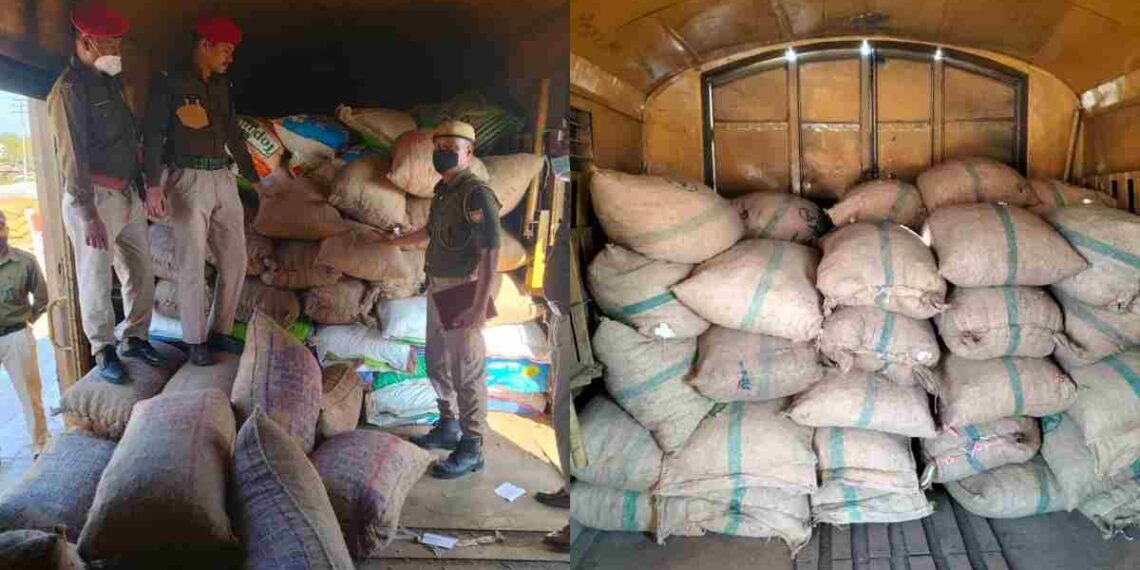 মিজোরাম সীমান্তের গভীর জঙ্গল থেকে উদ্ধার ৫০০ বস্তা বাৰ্মিজ সুপারি