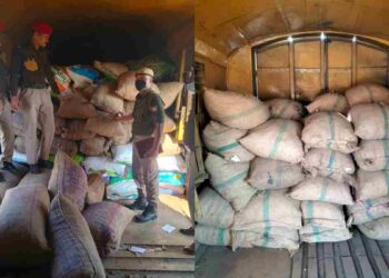 মিজোরাম সীমান্তের গভীর জঙ্গল থেকে উদ্ধার ৫০০ বস্তা বাৰ্মিজ সুপারি