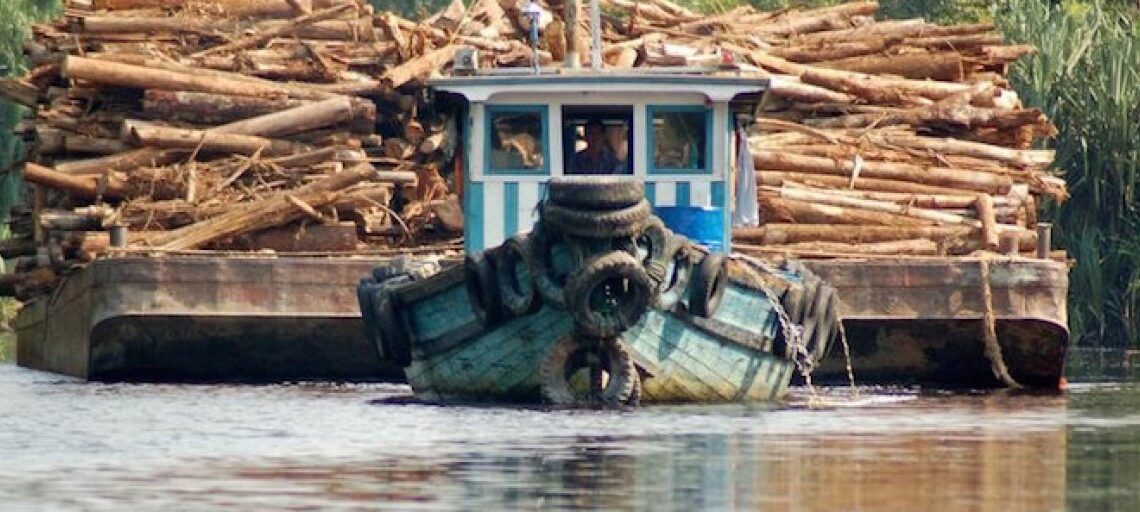 জিরিঘাটে মোটরবোটে অবৈধ চেরাই কাঠ পাচার