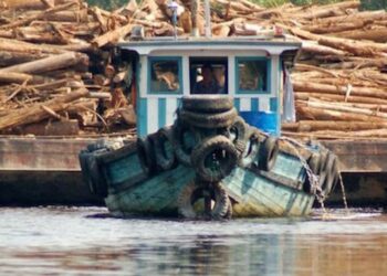 জিরিঘাটে মোটরবোটে অবৈধ চেরাই কাঠ পাচার