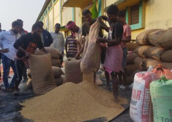 কাছাড়ে এফসিআইর ধান ক্রয়ের লক্ষ্যমাত্রা বাড়লো পাঁচ গুণ, আশায় কৃষকরা