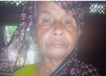 পুত্রবধূর হাতে খুন শাশুড়ি