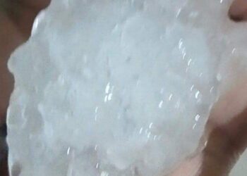 অস্বাভাবিক শিলাবৃষ্টি, প্রকৃতির তাণ্ডবে ব্যাপক ক্ষতি কাছাড়ে