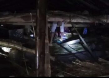 ধলাইয়ে ঝড়ে গাছ পড়ে মহিলার মৃত্যু