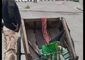 সাত সকালে সদরঘাট সেতুতে দুর্ঘটনা, কন্টেনারের চাকায় পিষ্ট রংপুরের সব্জিবিক্রেতা