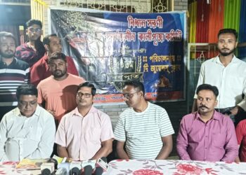 সুবর্ণ জয়ন্তীতে পাল কলোনীর কালীপুজোয় থিম শিশুদের মোবাইল আসক্তি