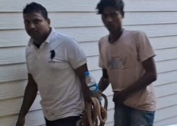 পশ্চিমবঙ্গের ফেরিওয়ালা খুনে ধৃত ১