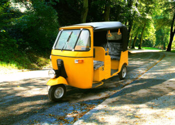 ই-অটো নয়, আপাতত শুধু ই-রিক্সার জন্যই ওড-ইভেন: ডিটিও