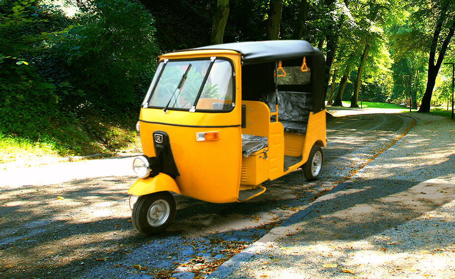 ই-অটো নয়, আপাতত শুধু ই-রিক্সার জন্যই ওড-ইভেন: ডিটিও