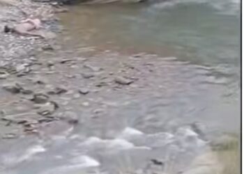 পিকনিকে গিয়ে মধুরায় সলীল সমাধি দুই যুবকের